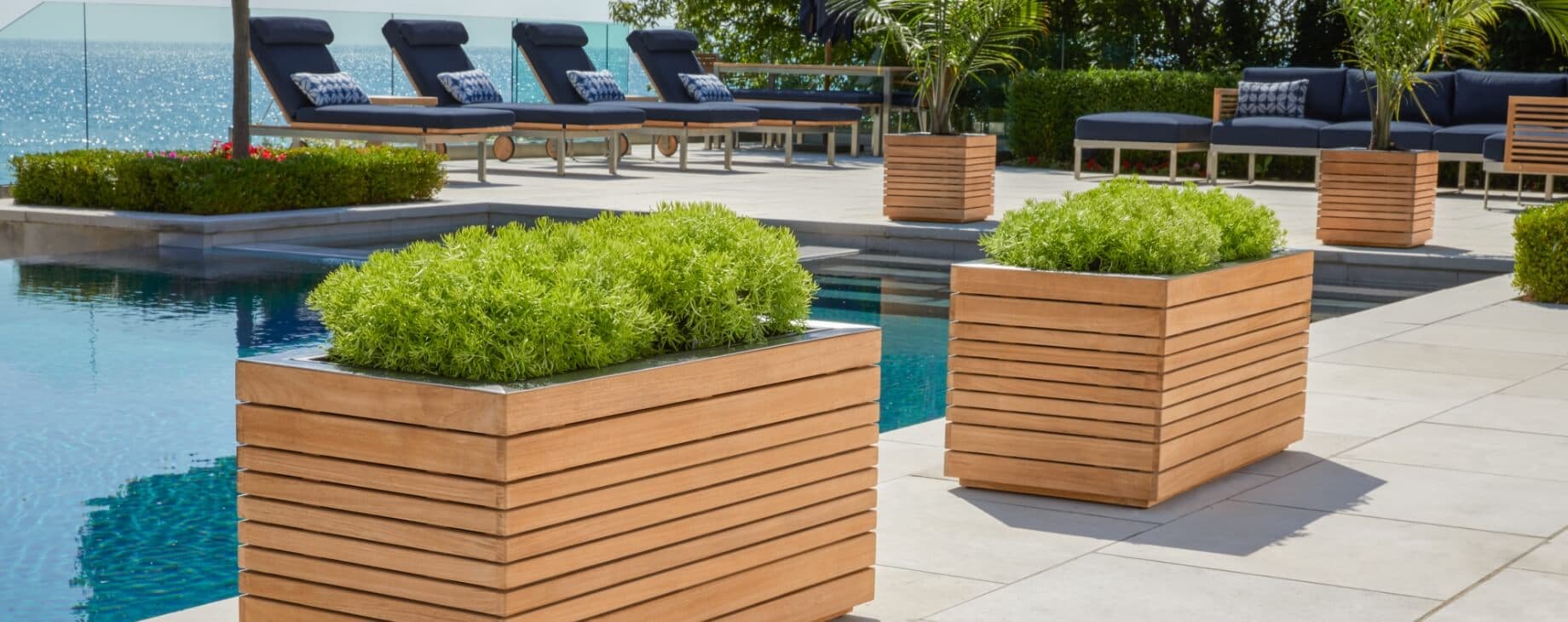 Teak planter boxes with greenery beside a pool