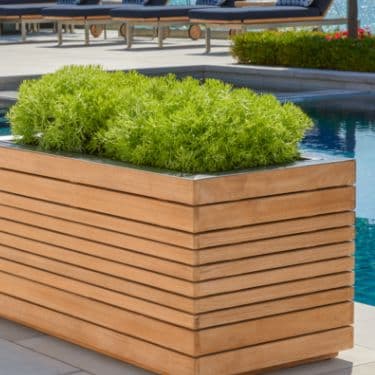 Teak planter boxes with greenery beside a pool